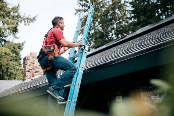 Best Roof Moss and Algae Removal  in Telford, PA